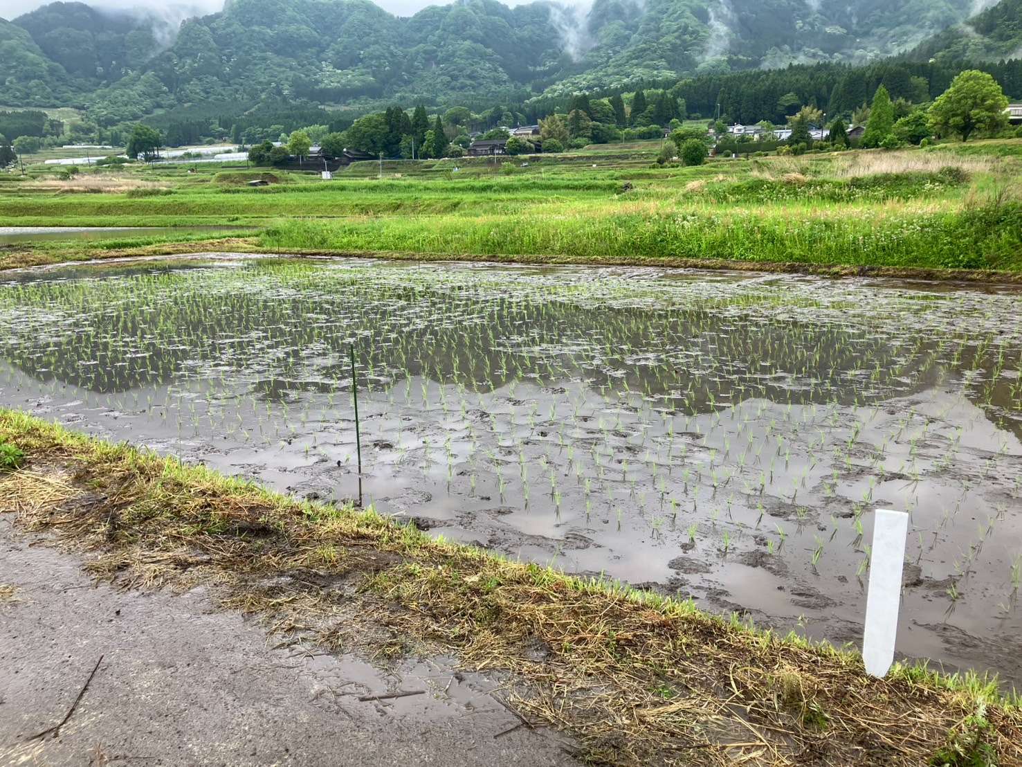 南阿蘇村（研修）