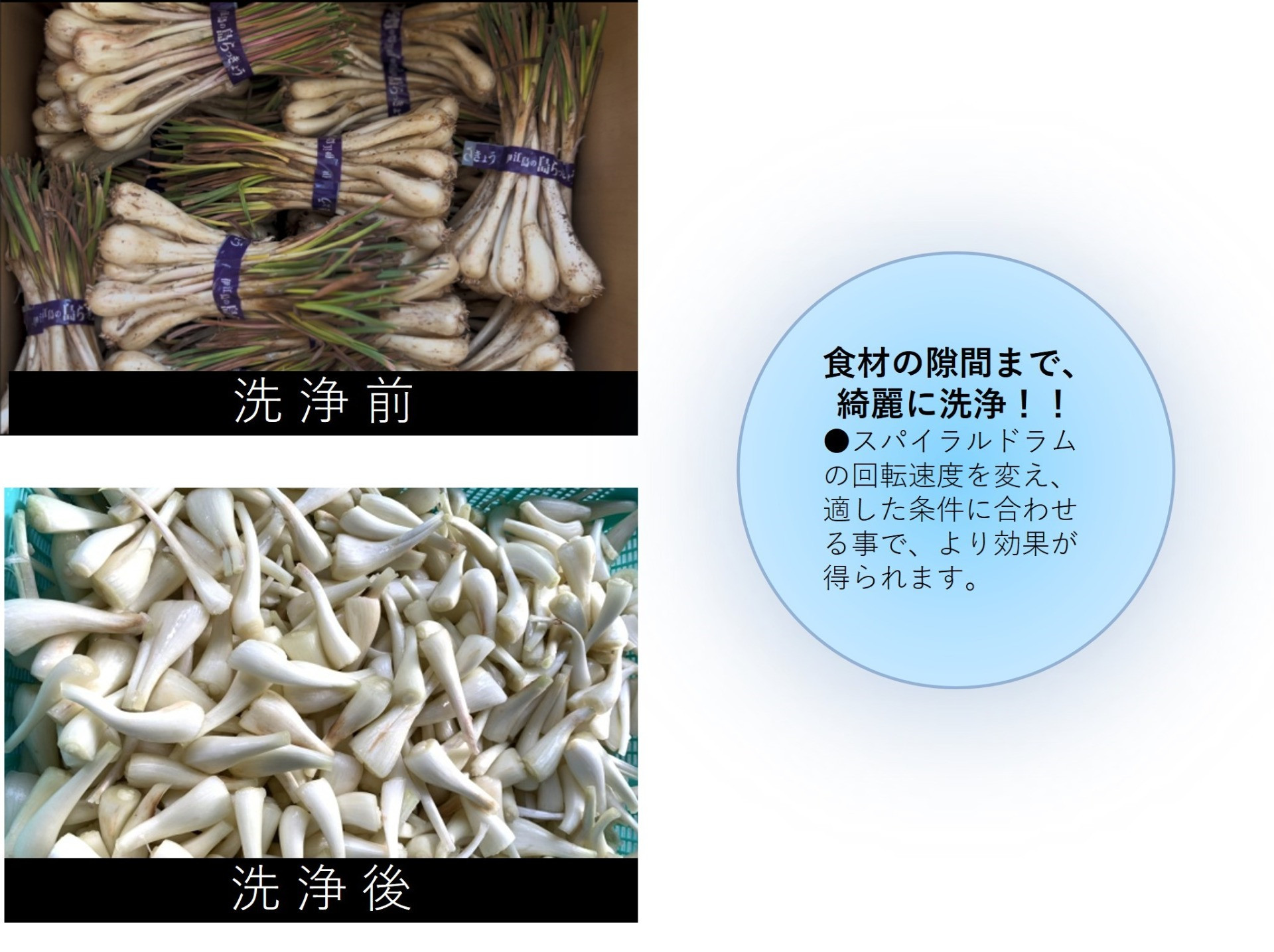 高圧スパイラル野菜洗浄機