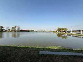 初バラマンディ