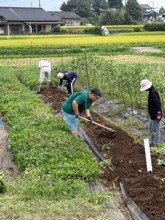 落花生も