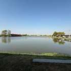 初バラマンディ